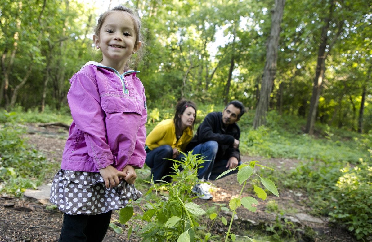 Forest Preserves tweet media