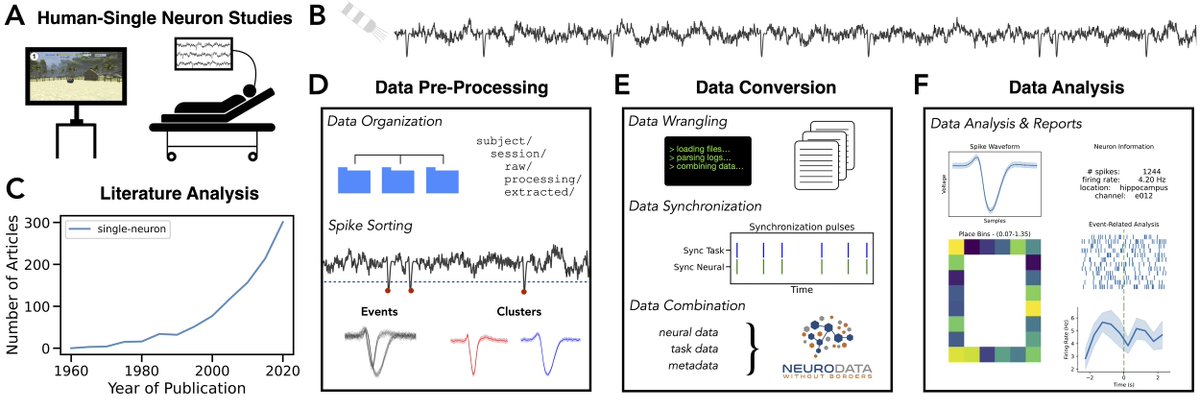 ApertureOHBM's tweet photo. Donoghue et al. introduce the Human Single-Neuron Pipeline, an open source processing pipeline for collecting and analyzing human single-neuron data: https://t.co/EgkPNsGnNI
@ohbmopen @OHBM
#OpenDatasets #SpecialIssue https://t.co/LuoLhoRFYb
