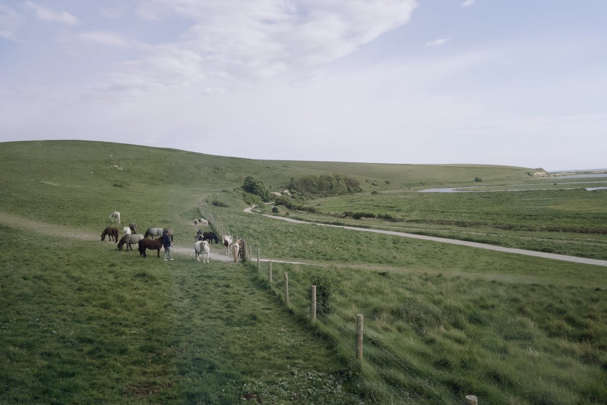 m45nav's tweet photo. 🐑 https://t.co/PhcVtkFrN3