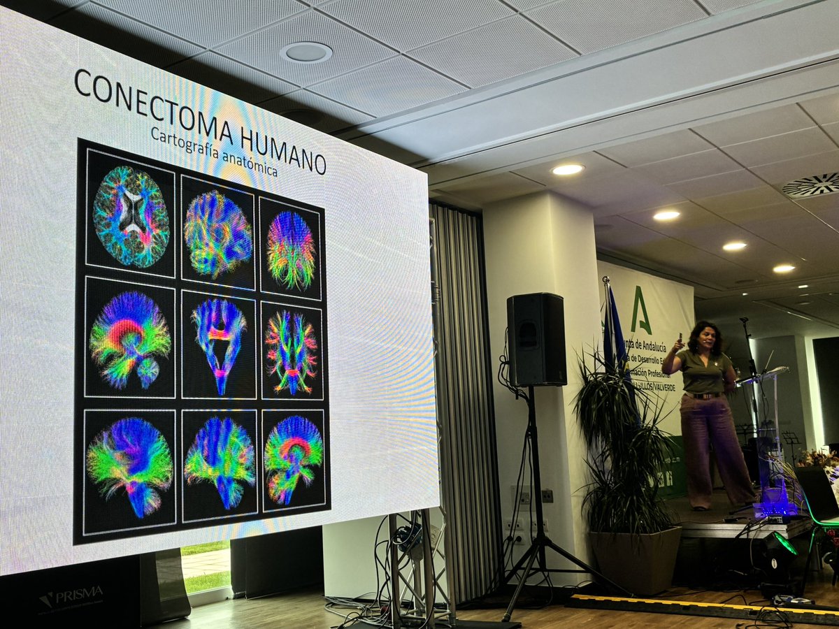 begomarquez's tweet photo. @AlmaSerra Gracias!!!  Nos das una visión magistral de lo que debemos hacer en la escuela en el hoy 💪🎋🙏 ✨en un mundo en transformación, amar ❣️ #emociones @cepbollullos #neurociencia #Innovación https://t.co/C0MFuHClj5