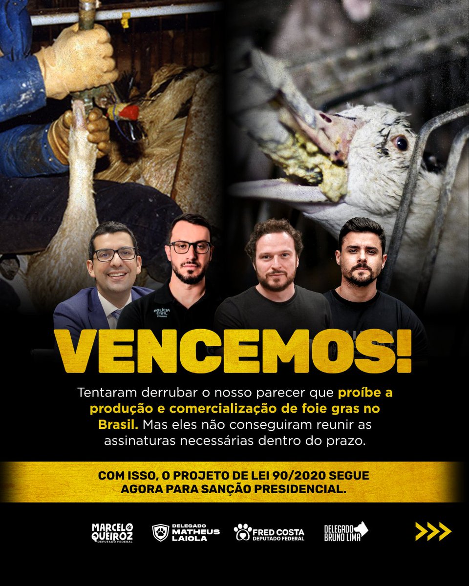 VENCEMOS MAIS UMA BATALHA PELA CAUSA ANIMAL.

Já aprovamos na Câmara dos Deputados o PL 90/2020, que proíbe a produção e comercialização de produtos obtidos por alimentação forçada de animais, como o foie gras.