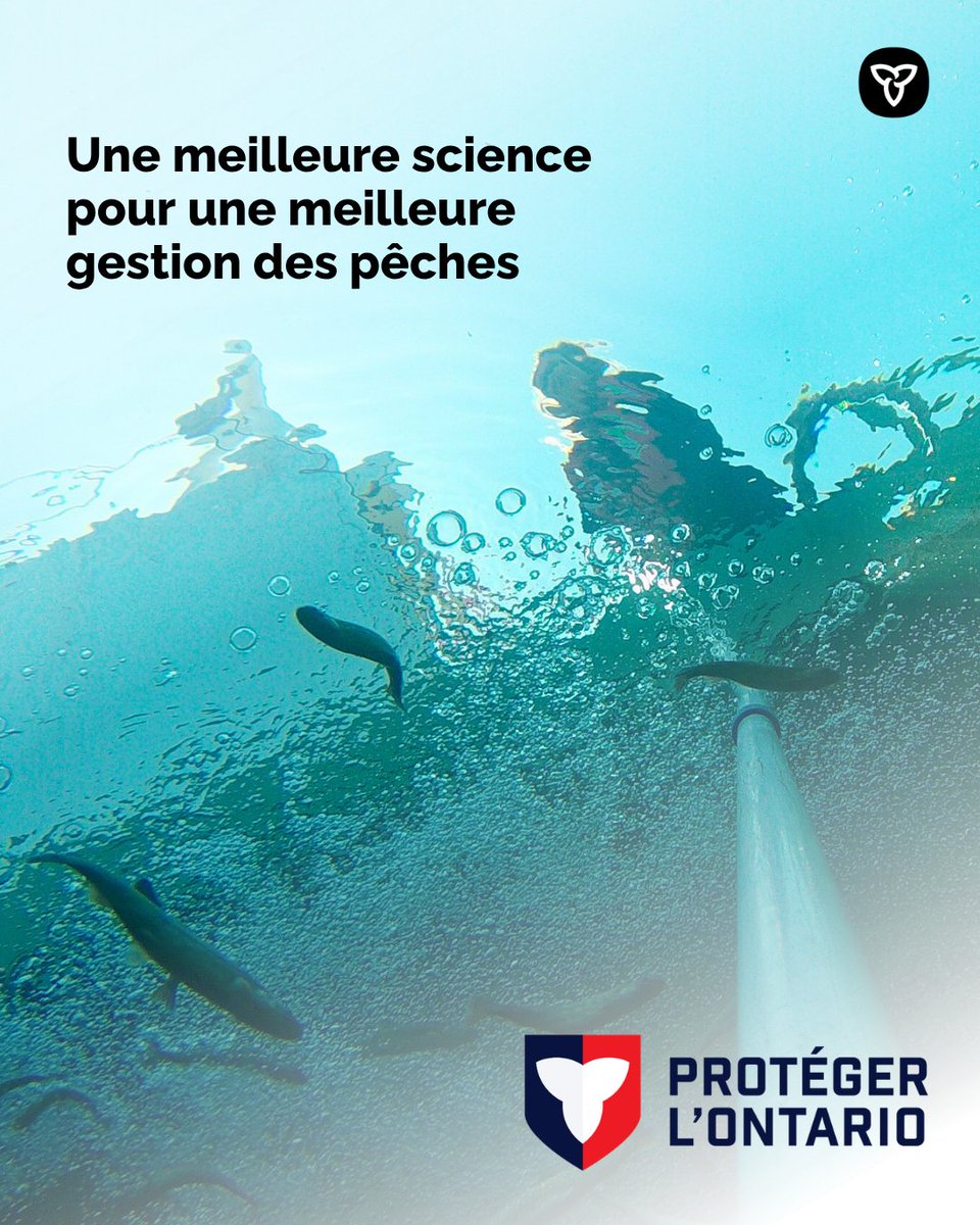 PecheFauneON's tweet photo. Nous créons un nouveau modèle qui prédit l’oxygène dissous dans les lacs de l’Ontario afin de mieux comprendre les poissons d’eau froide, d’améliorer l’empoissonnement et de renforcer la gestion des pêches.  

Apprenez-en plus à https://t.co/7lIVc4rs8Q.

#SciencesON https://t.co/ByJjw9iZ3f