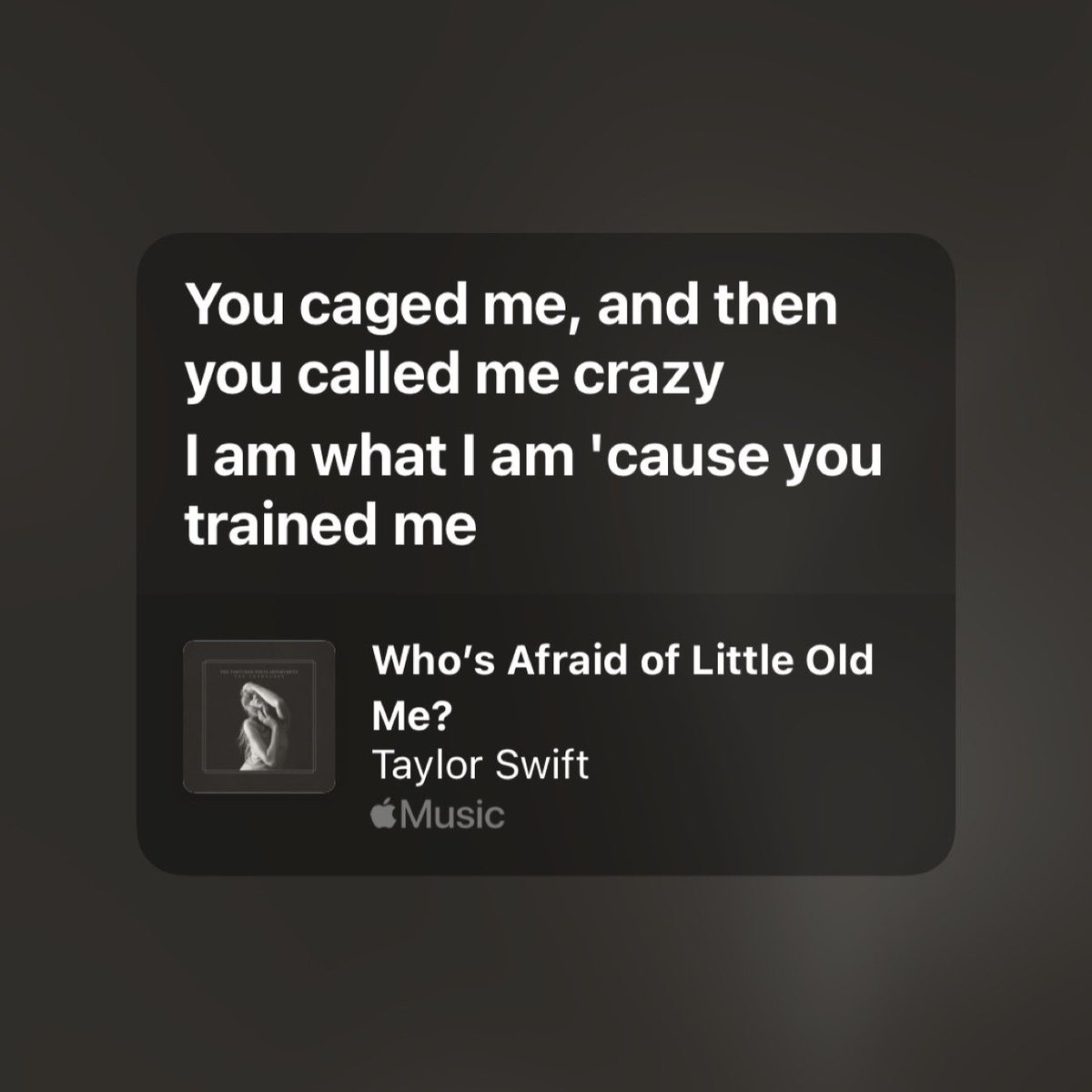 who’s afraid of little old me? 🤍