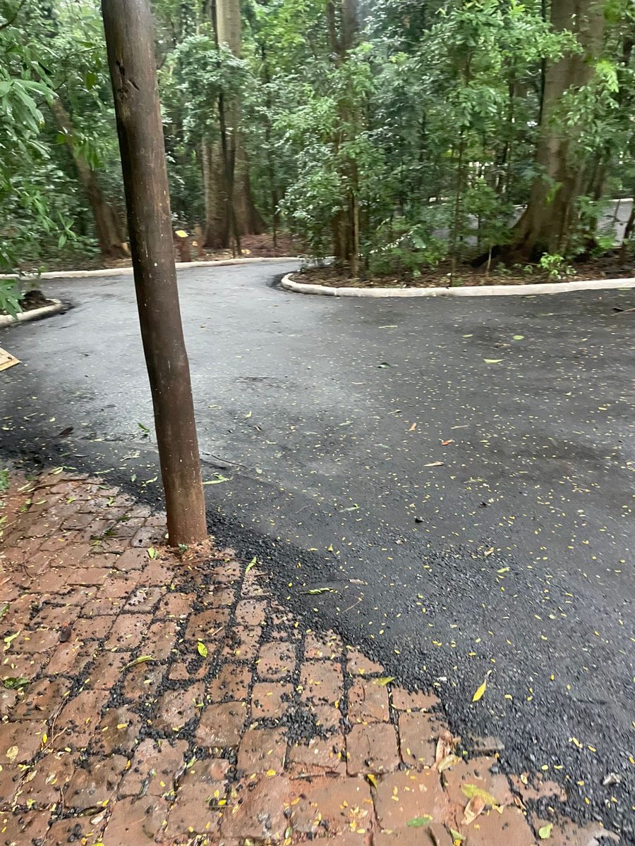 proanalucia's tweet photo. A cidade tá cheia de buraco... mas a preocupação deles é o Parque do Ingá asfaltado
@prefdemaringa https://t.co/NXqBqcerlV