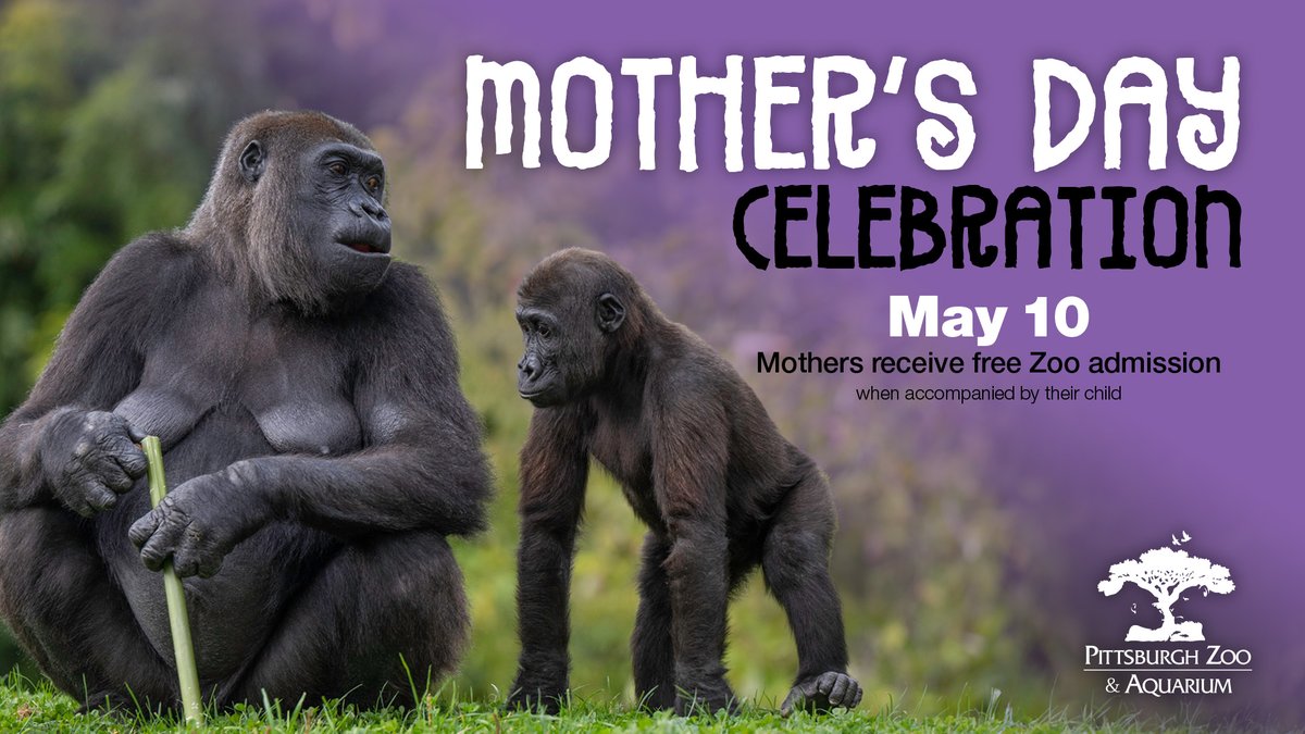 PghZoo's tweet photo. Moms of all generations receive free entry to the Zoo when accompanied by their children on Sunday, May 10. This is one of the Zoo’s busiest times of the year. We encourage buying tickets online and taking a rideshare to and from the Zoo.  More here: https://t.co/tm7ruIbUke https://t.co/qJ4A3l9LJ3