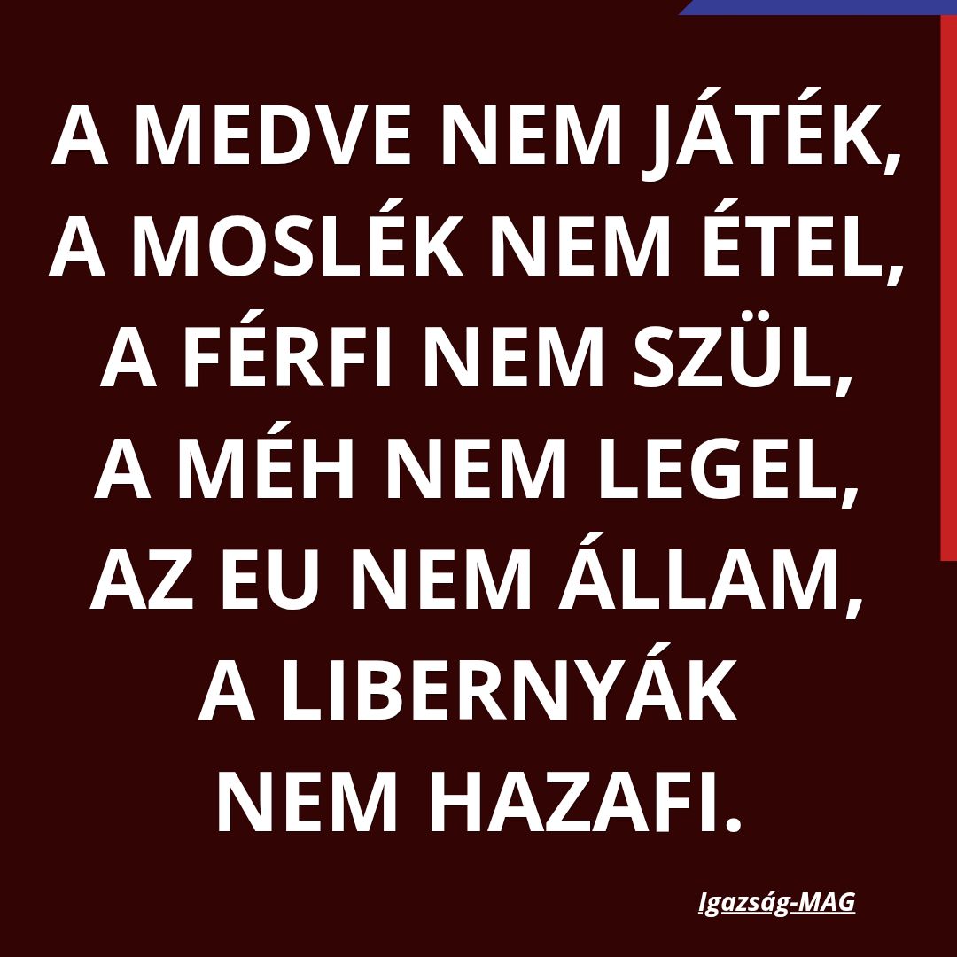Zso Bark tweet media