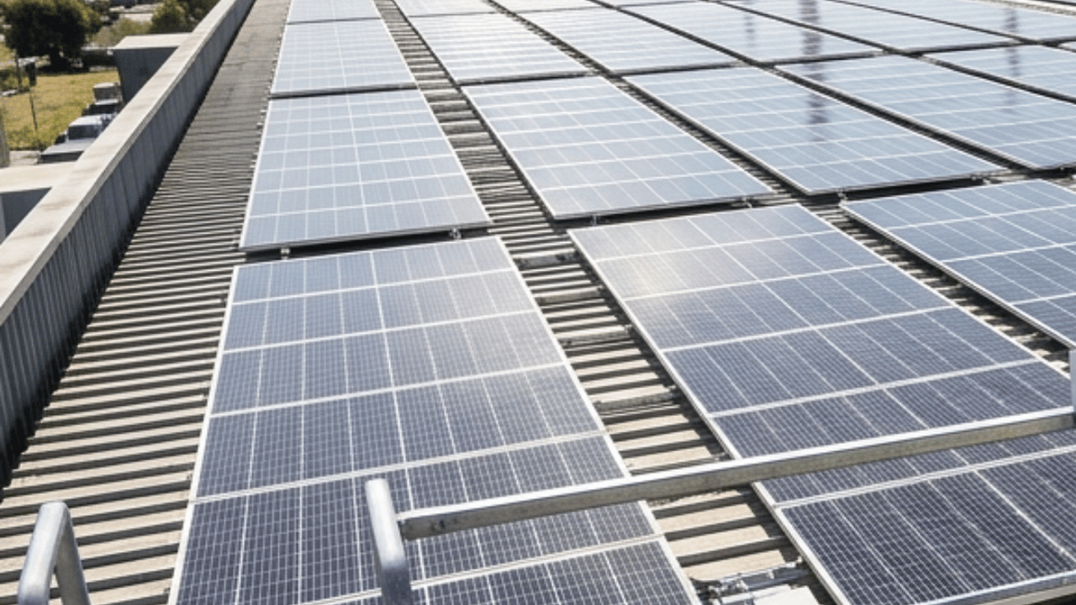 FrostecSolar's tweet photo. প্রযুক্তির উজ্জ্বল ভবিষ্যৎ: সৌর প্রকল্পের সাফল্য
সৌর শক্তি আমাদের ভবিষ্যৎ। এটি ব্যয় কমায় এবং পরিবেশ রক্ষা করে। আজই সৌর শক্তির দিকে ঝুঁকুন এবং ব্যবসার উন্নতি করুন। আপনার ব্যবসা শুরু করুন এখনই সৌর শক্তি গ্রহণ করে! #সৌরশক্তি #পরিবেশের_রক্ষা #সৌরশক্তি #পরিবেশের_রক্ষা #টেকসই_ভবিষ্যৎ https://t.co/2i236RxIhq
