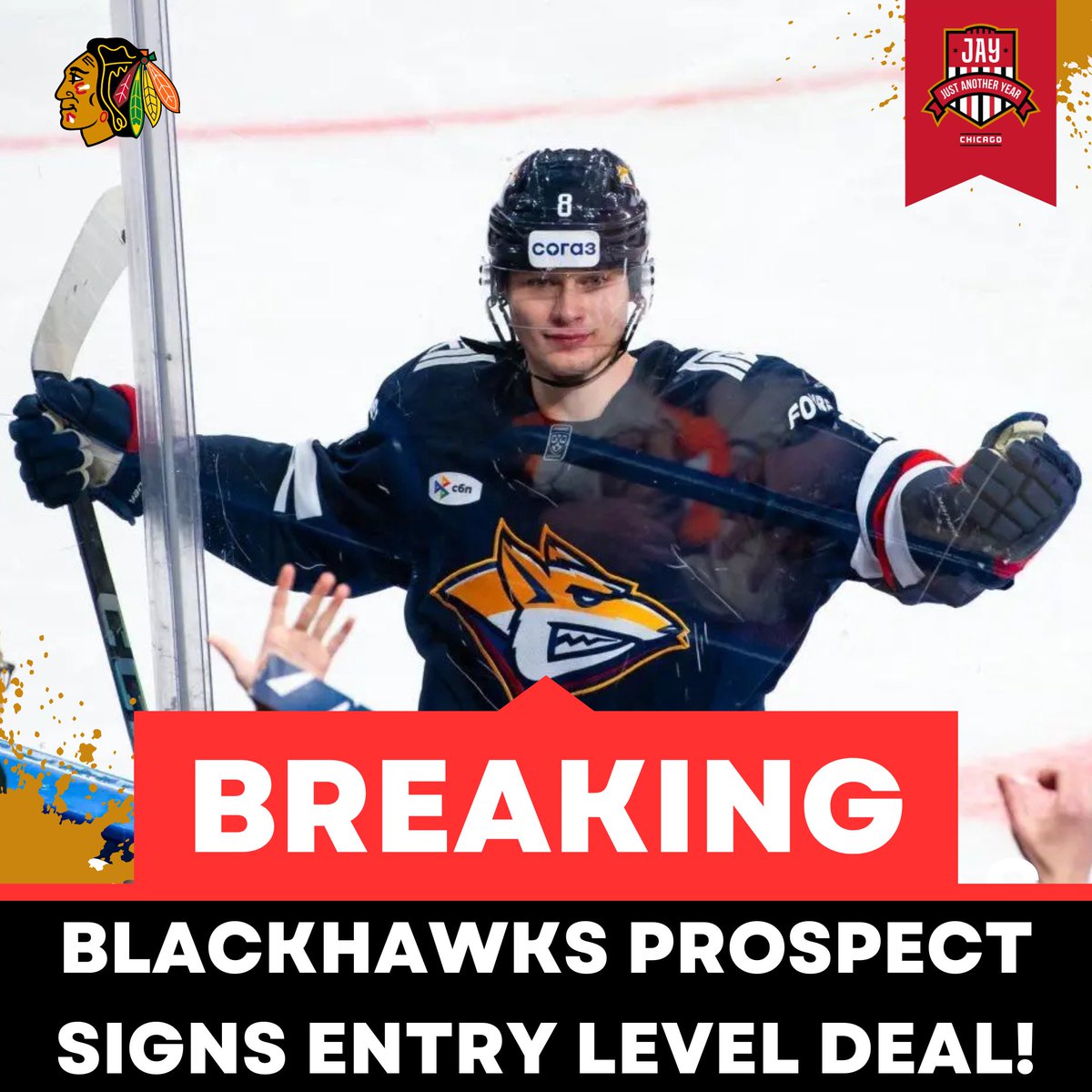 Just Another Year Chicago: Blackhawks tweet media