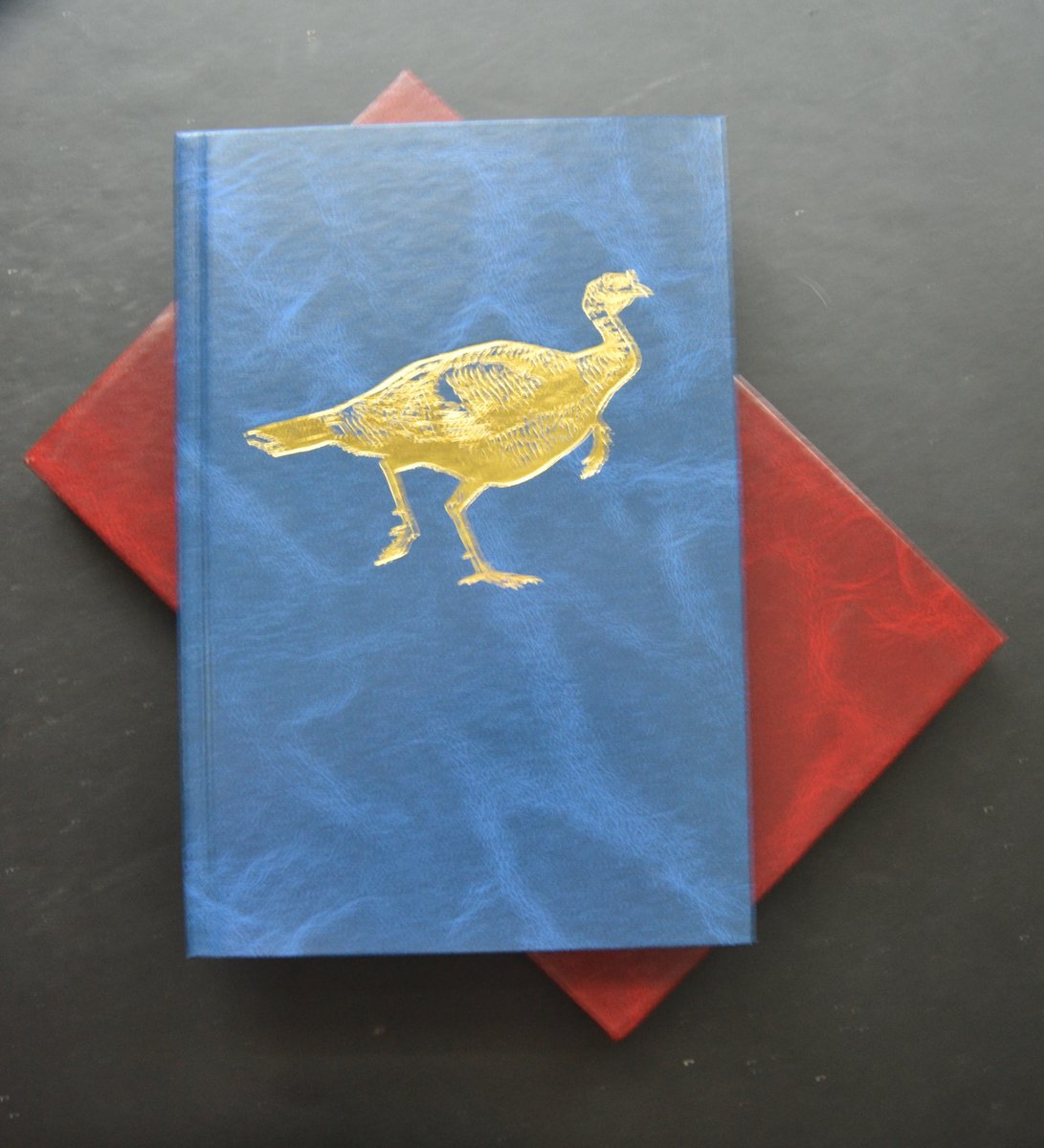 James Card tweet media
