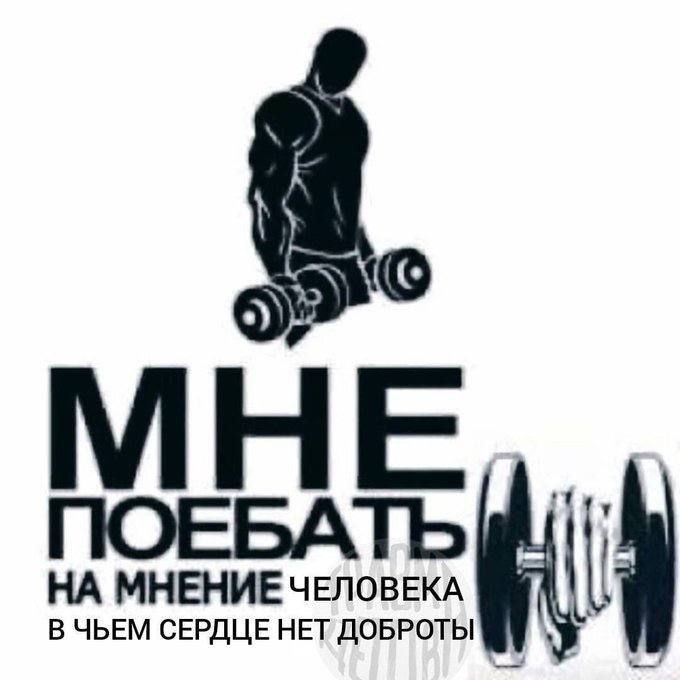 Собачковая жизнь tweet media