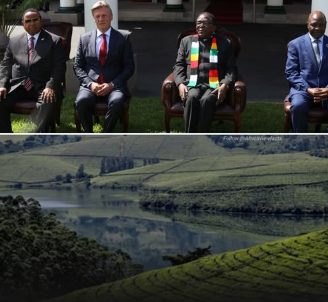 African Hub tweet media