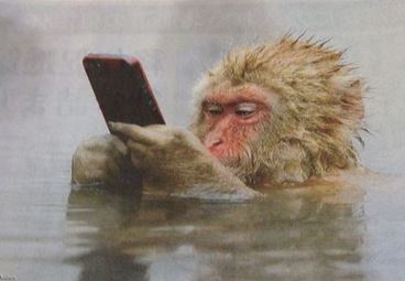 <a href="/monkey_dancing/">DancingMonkey</a> 🌠

　　　　　　　　　　       ♪♪♪