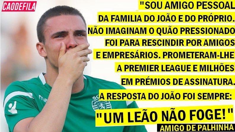 Precisamos de um capitão para a próxima época, <a href="/SportingCP/">Sporting CP</a> 🦁