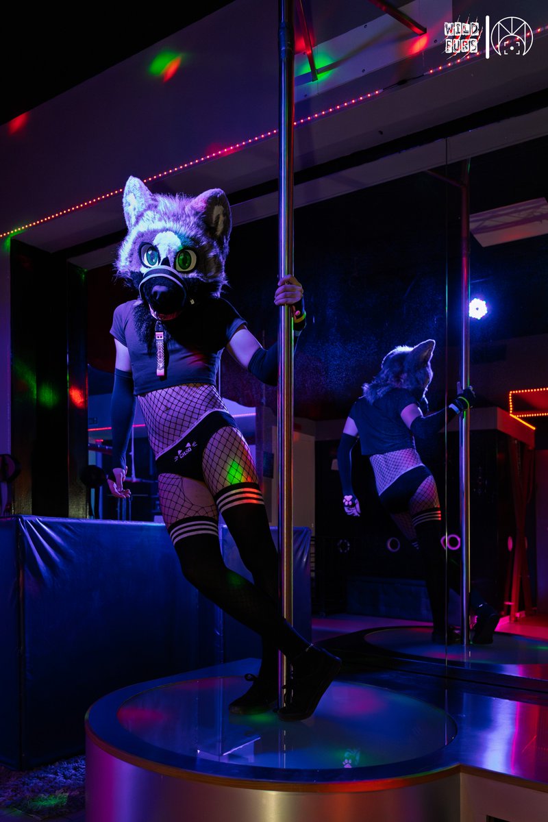lupo_rufus's tweet photo. Do you wanna dance with me? 🪩🕺
.
.
.
📸 by: LucaMontaguti 
Tags: #Fursuit #Furry #Cute #Femboy #wildfurs #suggestive #bondage #wolf #furrywolf #greywolf #muzzle #warmers #furryfemboy #fishnet #poledance #dance #croptop #collar #Rain #Rain_3d #Lupetto https://t.co/WXiQHnoATu