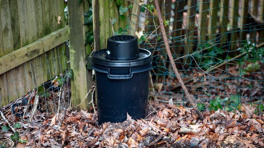 giveashitnature's tweet photo. For about $5, you can set a trap that kills thousands of mosquitoes in your yard.

Female mosquitoes actively hunt for dark, stagnant water with a bit of organic matter to lay their eggs. 

Give them exactly what they want, then make it lethal.

The science is solid. The WHO, US military, and public health departments in dengue-prone regions all use these as a control measure. 

Thailand ran a program where deploying lethal ovitraps in residential yards dropped dengue rates from 322 per 100,000 to zero.

The DIY version: a dark-colored bucket or container, half-filled with water, a handful of grass clippings or dried leaves to make it smell like a real breeding site, and a Bti dunk. 

Place it in a shaded corner near other shelter (under shrubs, against a fence). Refresh every few weeks.

The catch: a trap without Bti is a breeding site. Without the larvicide, you're just helping the mosquitoes you're trying to kill. The Bti is what flips the math.

One trap can intercept thousands of eggs over a season. No chemicals, no spray, just a mosquito bucket of doom.