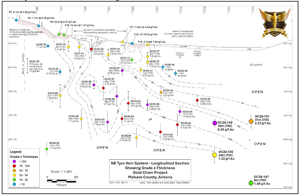 WestPointGoldUS's tweet photo. Our latest results continue to highlight the strength and continuity of the NE Tyro vein system.

The longitudinal section demonstrates:
• Multiple high-grade intercepts along trend
• Consistent grade x thickness across the system
• Open in multiple directions with expansion ongoing

See news release: https://t.co/BMq0Zn59Ms $WPG.V

🇨🇦 TSXV: WPG | 🇺🇸 OTCQB: WPGCF | 🇩🇪 FSE: LRA0

#Gold #Mining #MiningNews #GoldMining #MarketTrends #PreciousMetals #TSXV #GoldPrice #Investing #Commodities