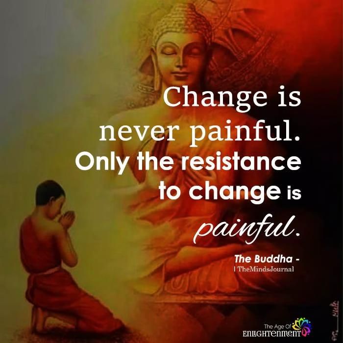 Tao Guru tweet media