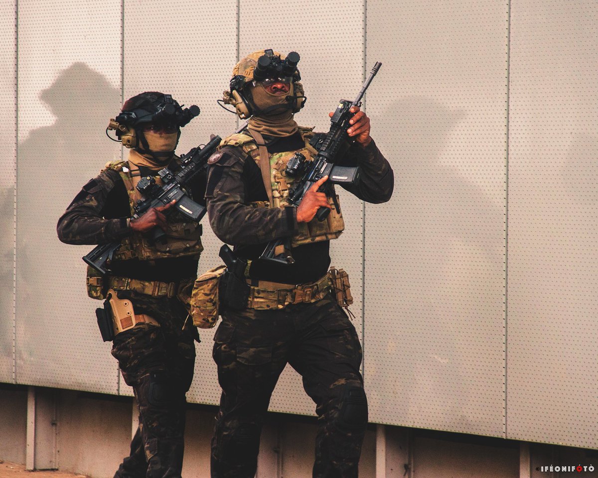 Sentinelll tweet media