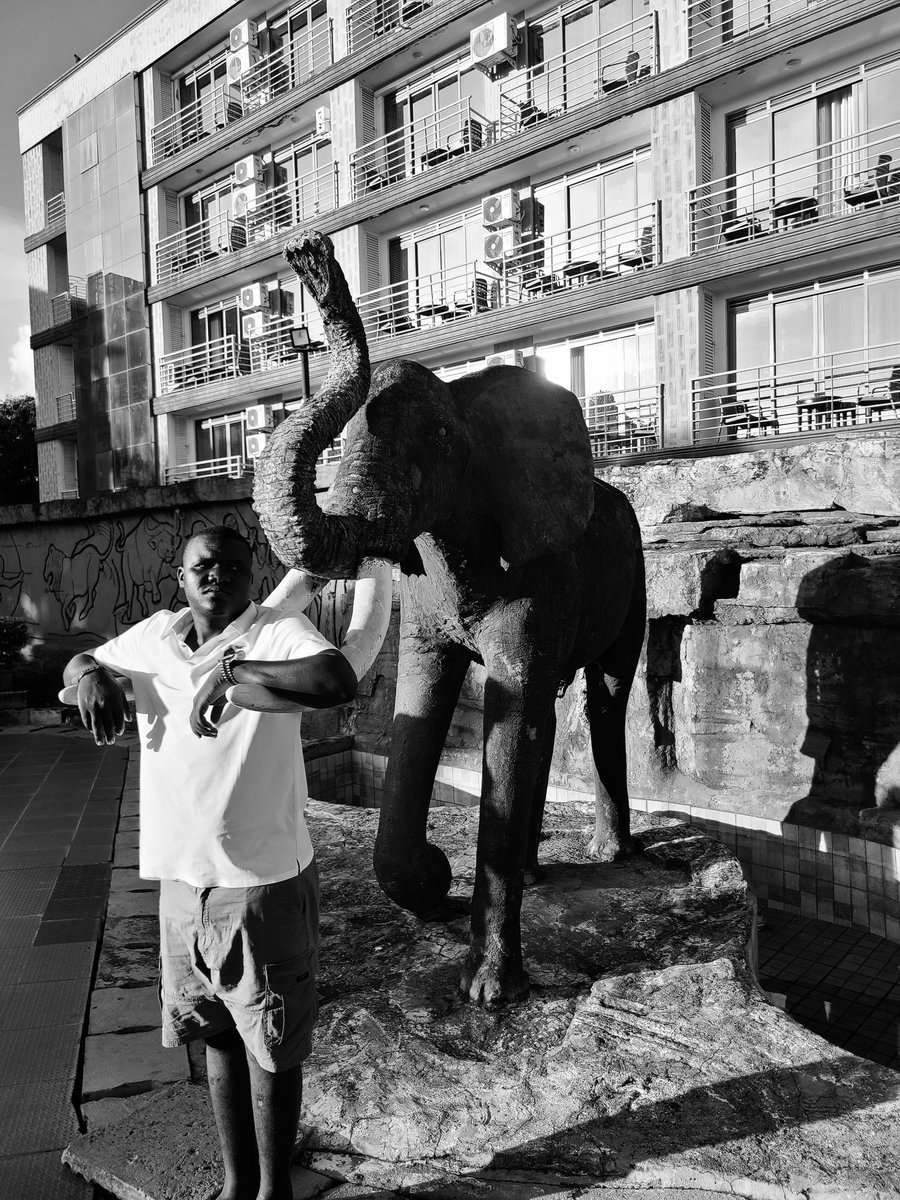 Mykoojok's tweet photo. When Elephants meet@ Local Explorer 
#BomahHotelLimited https://t.co/waWYDdWJyZ