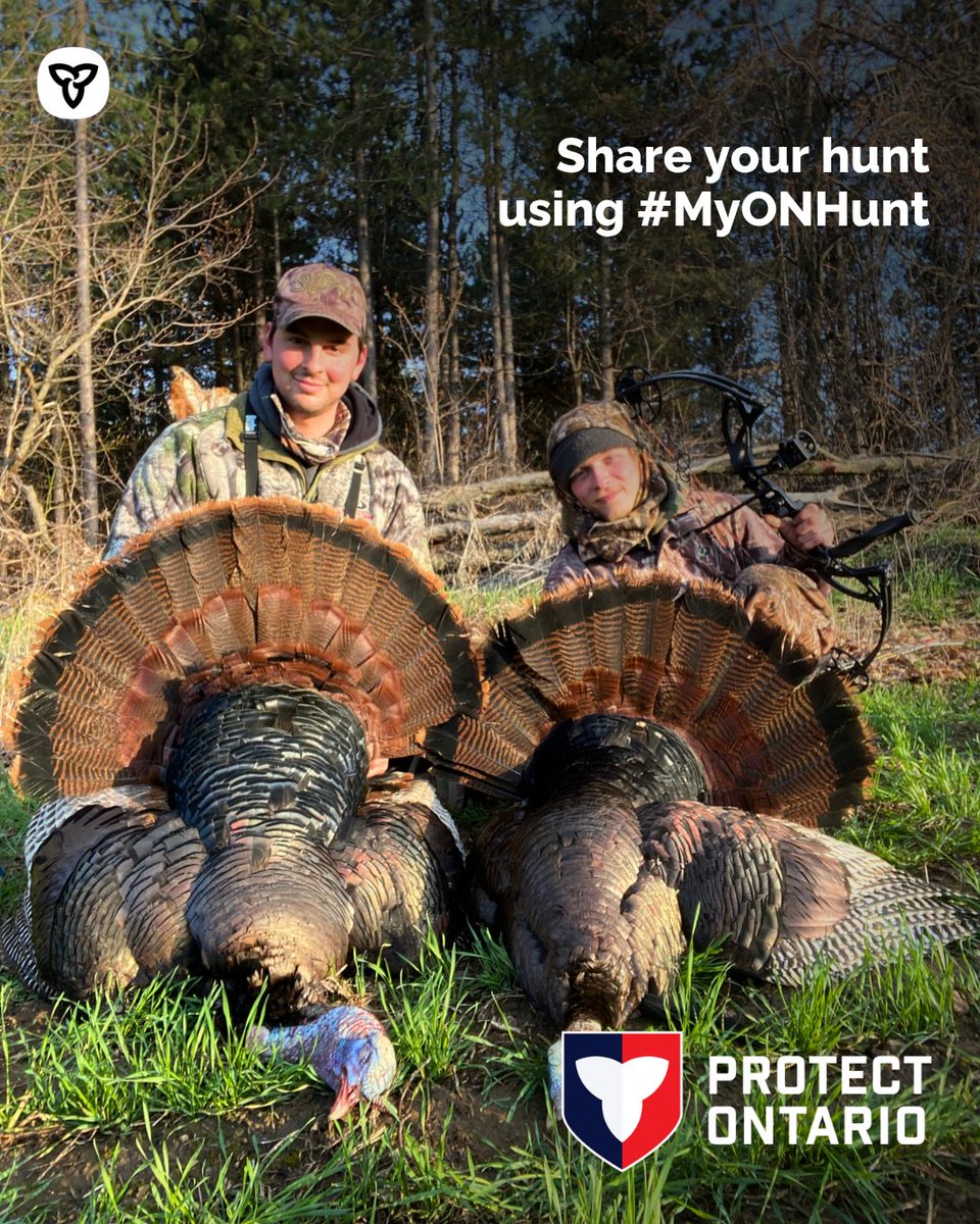 FishWildlifeON's tweet photo. Spring in Ontario looks best through your lens. 📸 

Capture your best moments and inspire fellow hunters by sharing your journey. 

Tag us @FishWildlifeON or use the hashtag #MyONHunt when you post your hunting photos. Alternatively, send them to our social team via DM or by emailing us at FWmarketing@ontario.ca.