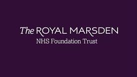SM1Jobs's tweet photo. Quality Support Officer F/T 12 mth #FTC #RoyalMarsdenNHS #Sutton #MarsdenCareers https://t.co/UHWsG6Nv4G #Jobs #NHSJobs #QMS #QualityManagementSystem #HealthcareJobs #DtabaseManagement #SM1Jobs #SuttonJobs closes 22nd May https://t.co/TReh9o9aUO