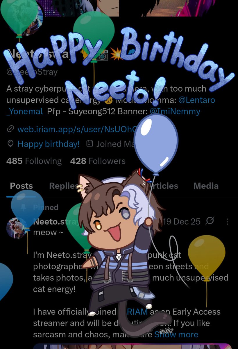 Neeto.stray 🐈📸💥 tweet media