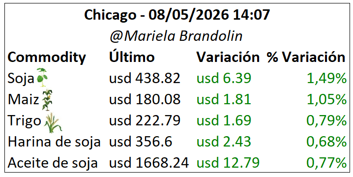 Mariela Brandolin tweet media