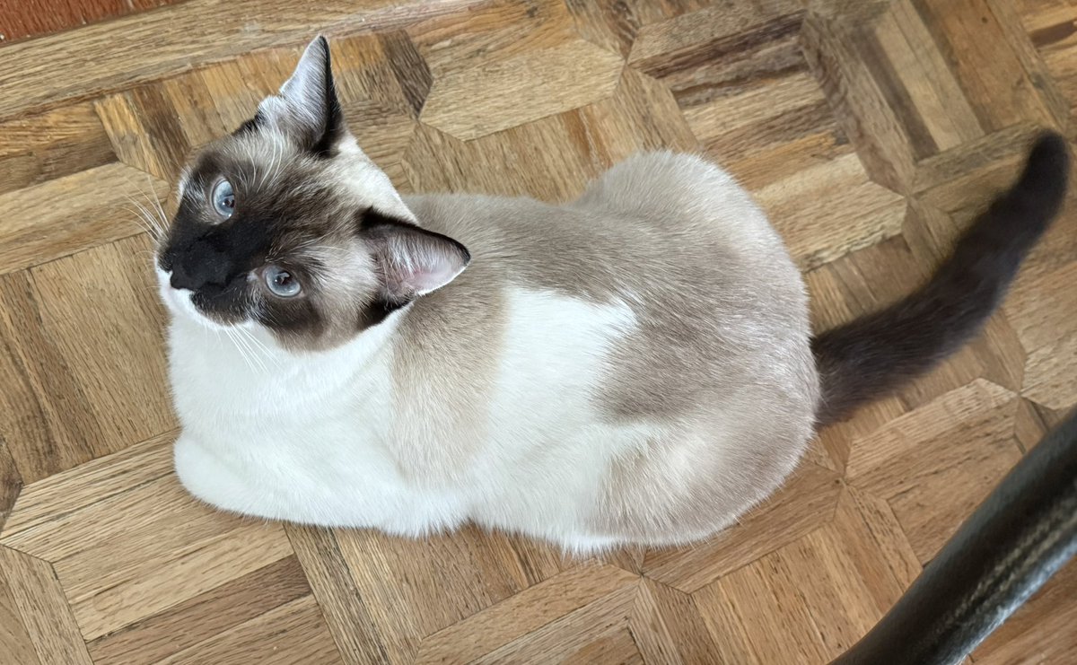 BTSHaunted's tweet photo. @thecataura https://t.co/9r3PRPlqNB