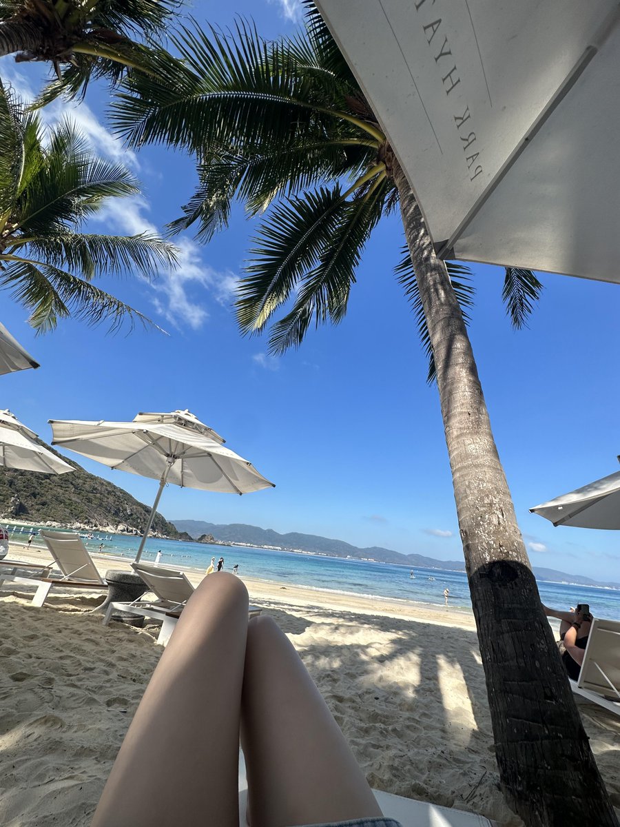 Lily tweet media