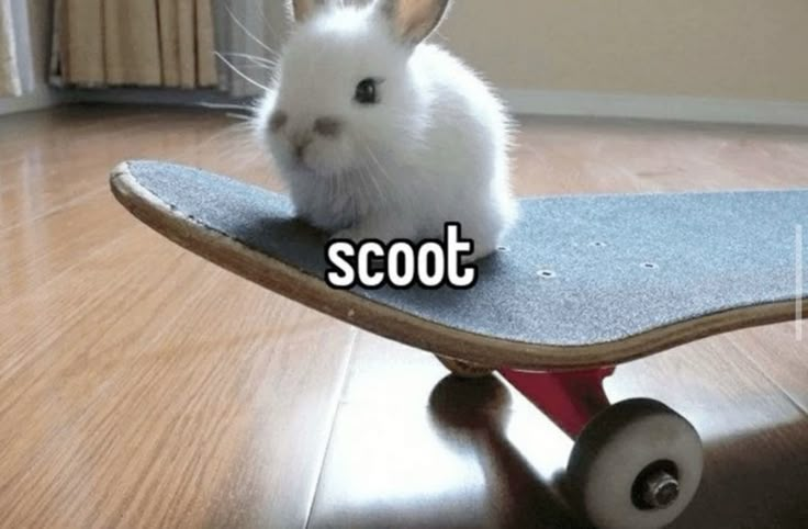 MW_Forgotten's tweet photo. scoot https://t.co/FVx11EBuyr