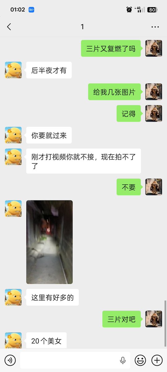 怕不怕 tweet media