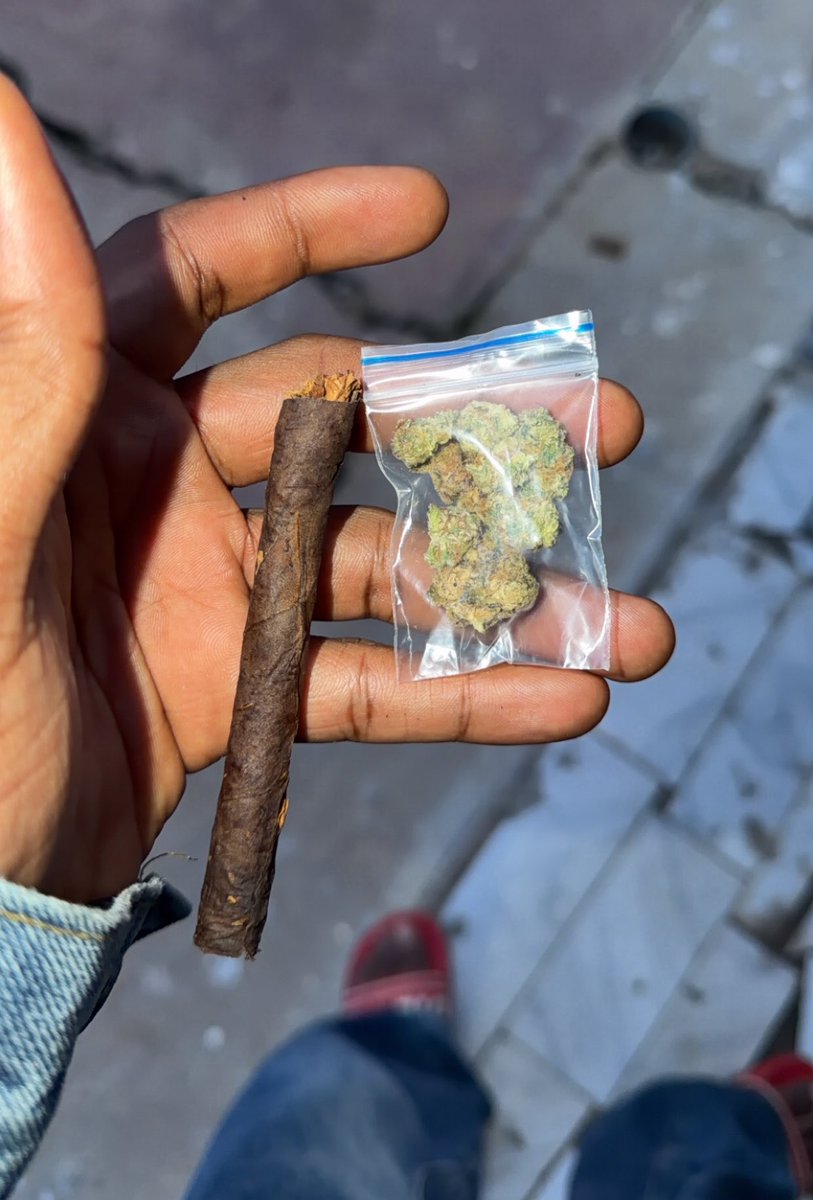 Greg fourtwenty🥦 tweet media