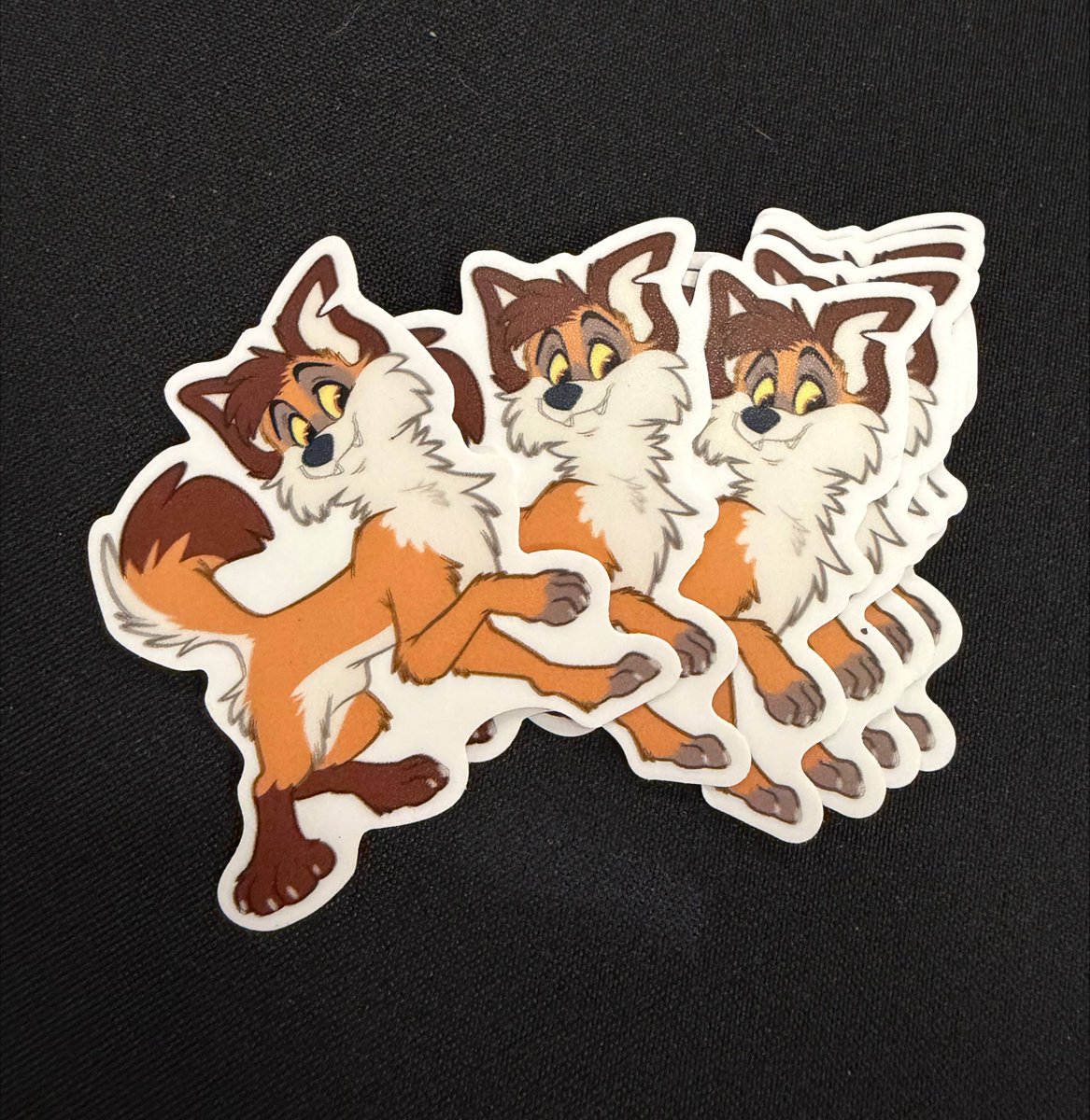 KoidelCoyote 💫 FWA AC MP tweet media