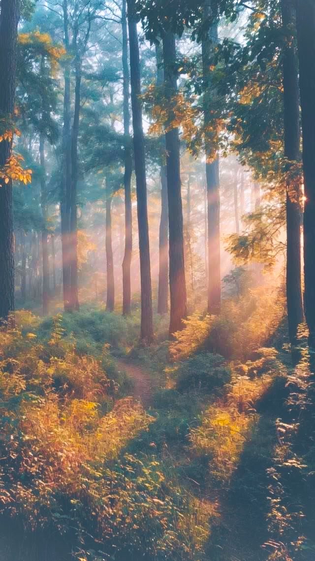 ms. secluded 🕊️ tweet media