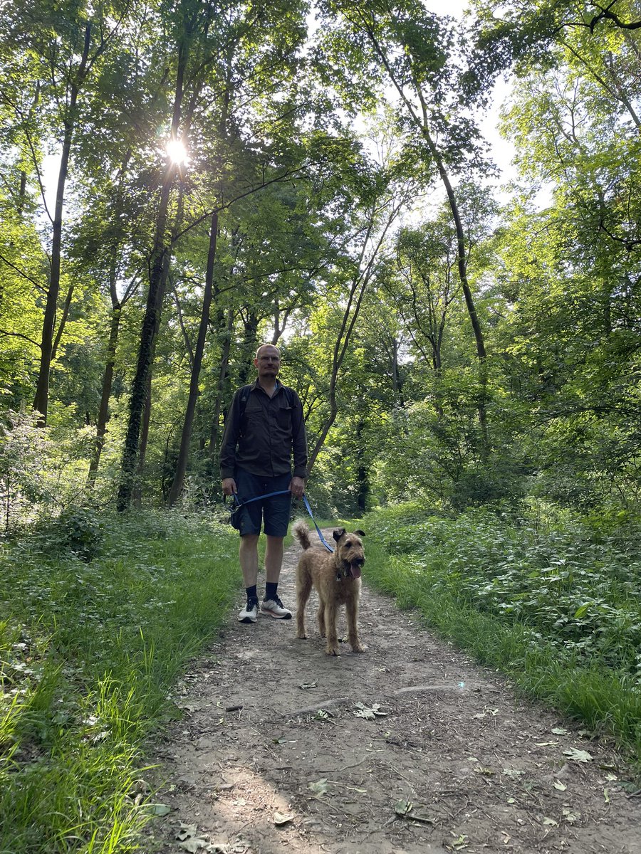 OlaKwiecien3's tweet photo. #dogsoftwitter Friday afternoon is time for fun! So we had all the fun one can have in #Prater! Meadow shenanigans, sniffari and Ferres Wheel! 
🐾🙂🇦🇹 https://t.co/yZy7qypx7y