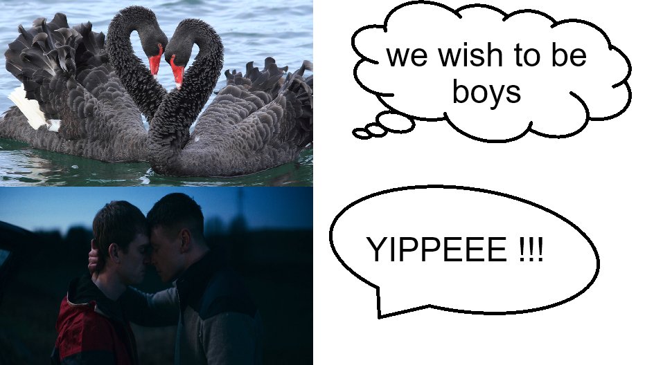kingu tweet media