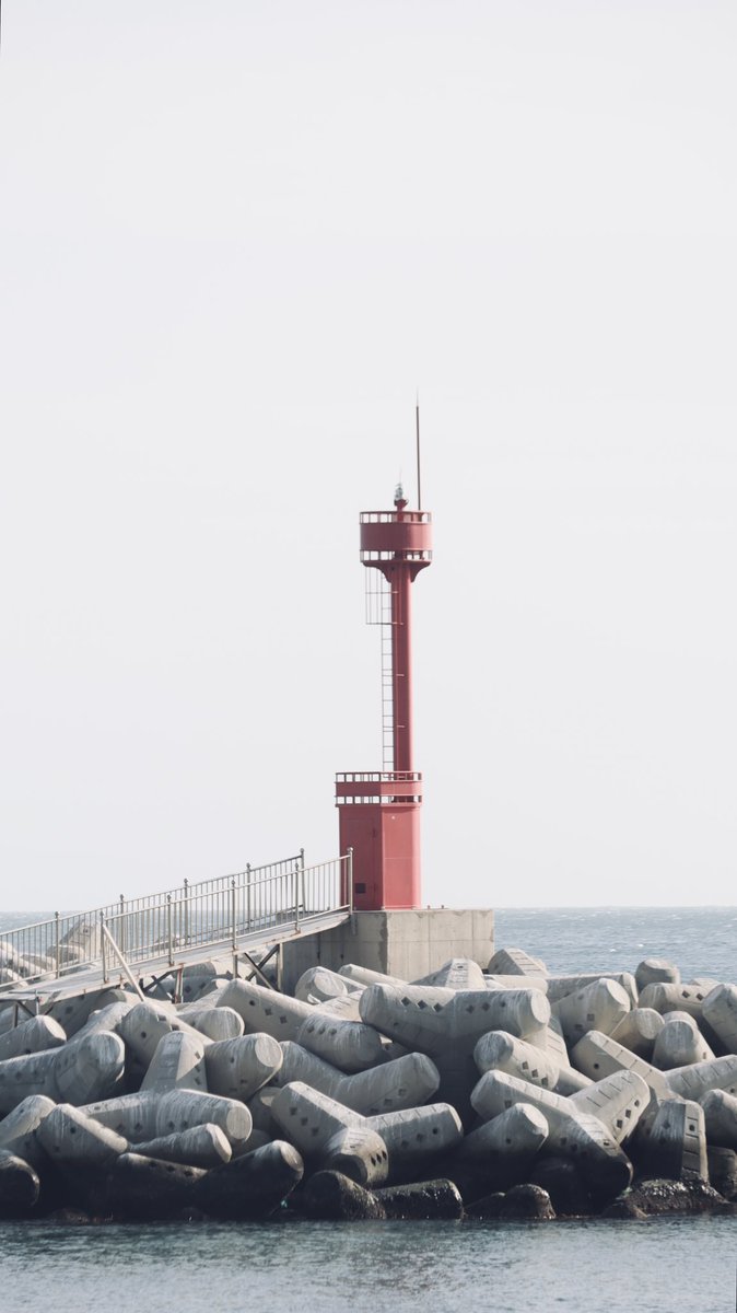 annyeo_ 🦡 tweet media
