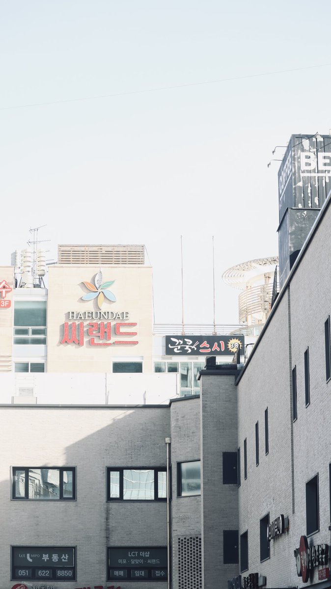 annyeo_ 🦡 tweet media