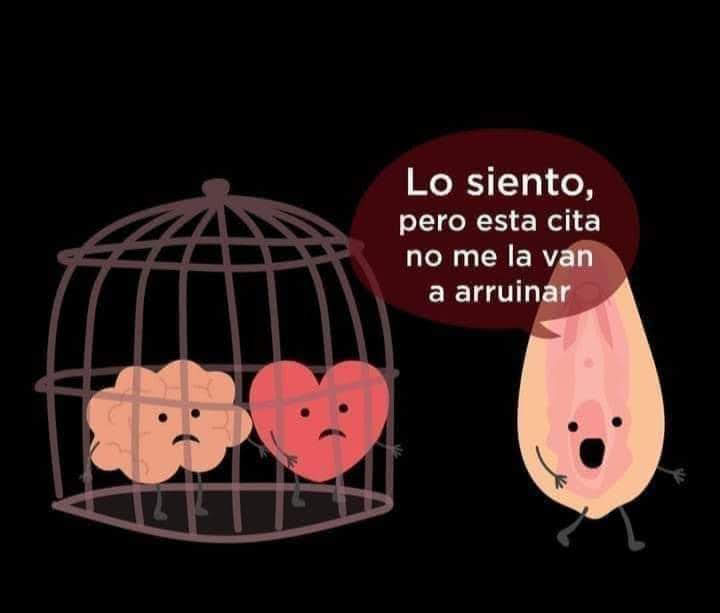 Estefy✨✨ tweet media