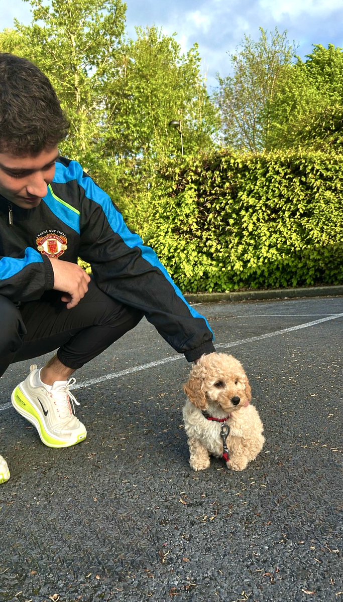 _mattoconnor's tweet photo. New Addition 🐶🏠 https://t.co/UoA8TRzy1U