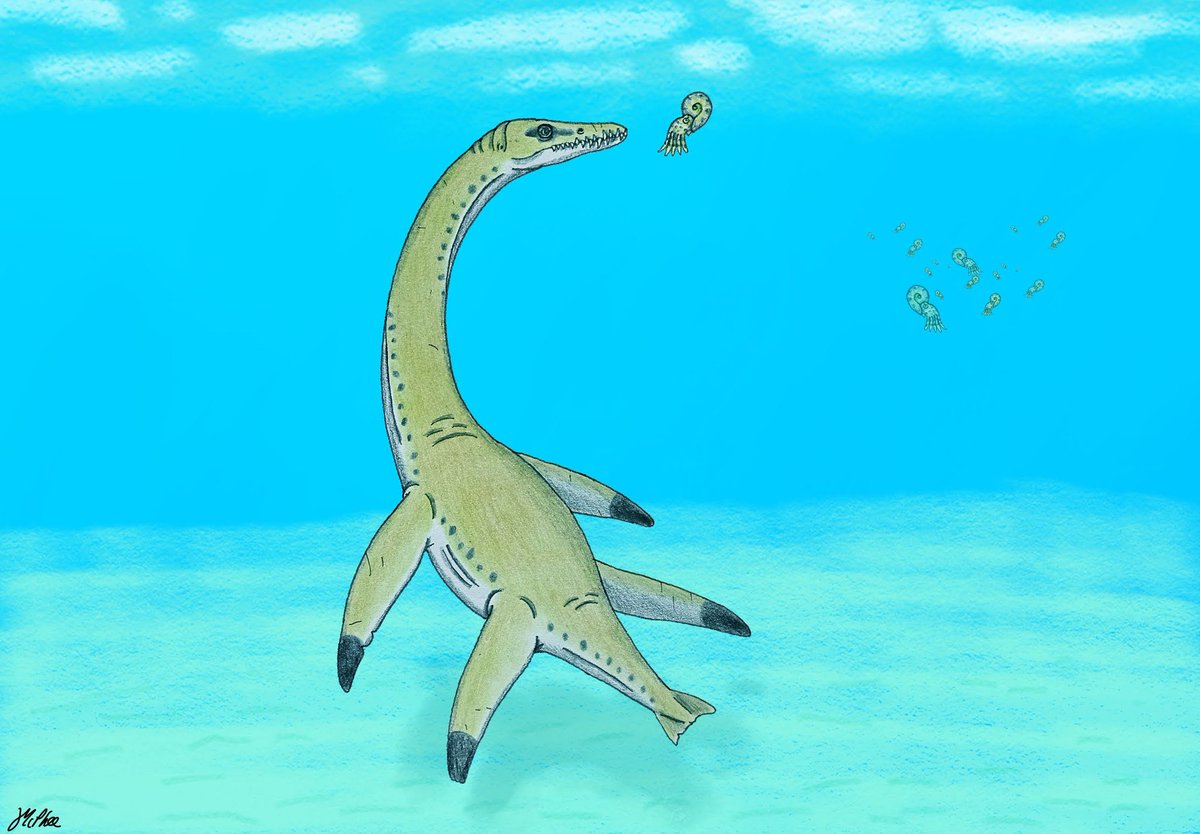 🦕A Tired Pterosaur🦖 tweet media