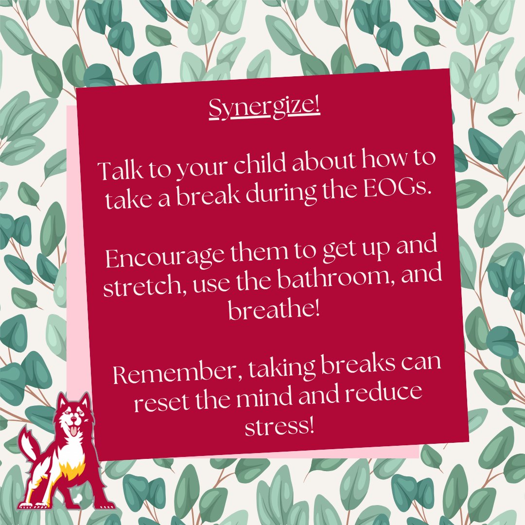 IndianTrailESNC's tweet photo. All of our Timberwolves will be taking end of year assessments in the coming weeks, including mClass, iReady, and EOGs. Please take time to talk with your child each night. Use these ideas to get the conversation started!
#timberwolfstrong
@AGHoulihan
@TopperJenn58692
@UCPSNC https://t.co/kkICvP7mjR