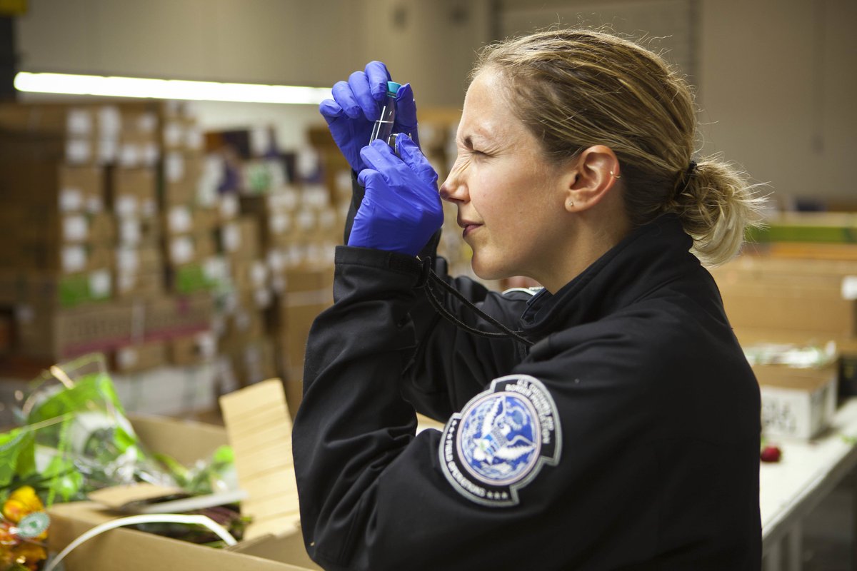 CBP Office of Trade tweet media