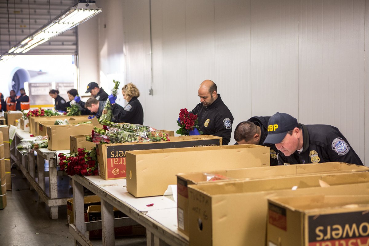 CBP Office of Trade tweet media