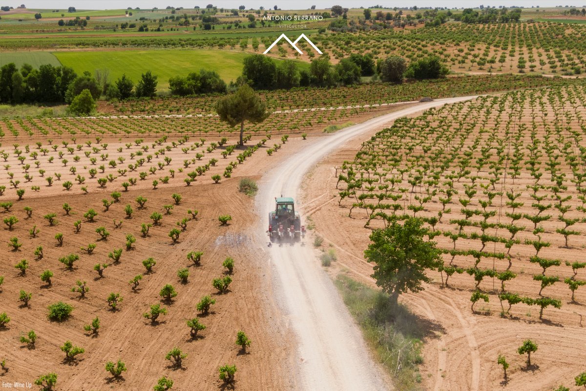bodegasaserrano's tweet photo. Hoy es el día de San Isidro Labrador, y en Antonio Serrano lo sentimos muy nuestro. Patrón de agricultores, viticultores y de todos los que entienden que la tierra hay que merecérsela. Feliz día a todos los Isidros y a quienes viven del campo con orgullo.

🌱 El campo no miente. https://t.co/407sxWL6gH