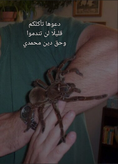ياسر الكلاسيكي tweet media