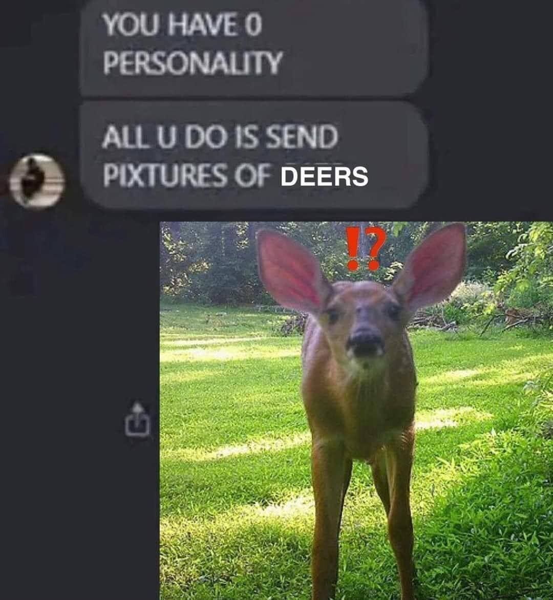 Deer in Places they Shouldn't Be (@deershouldnt) on Twitter photo 