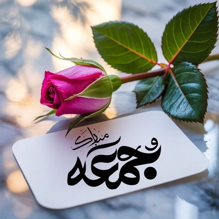 أميرة tweet media