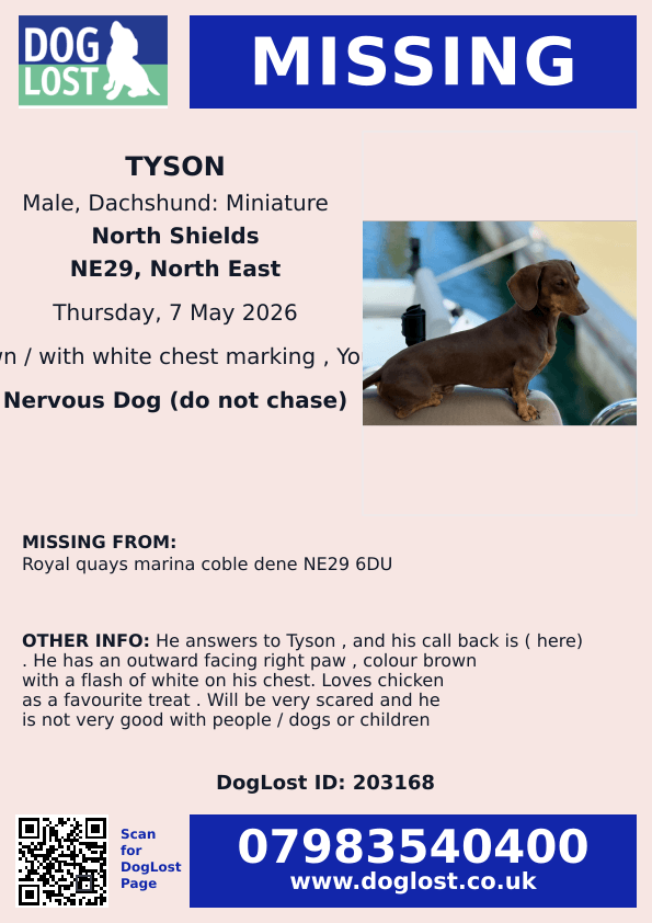 millypod1's tweet photo. π7 MAY 2026 #Lost Tyson #ScanMe #PUPPY
YOUNG MIN Dachshund Male #SausageArmy
LAST SEEN THIS MORNING 5:30 BY BREWERS FAIR PLEASE SHARE
Royal Quays Marina Coble Dene, DFDS Ferry Terminal.
#NE29 6DU #NorthShields
https://t.co/TAeyp7Bop7 https://t.co/JGhF0f0R3Y