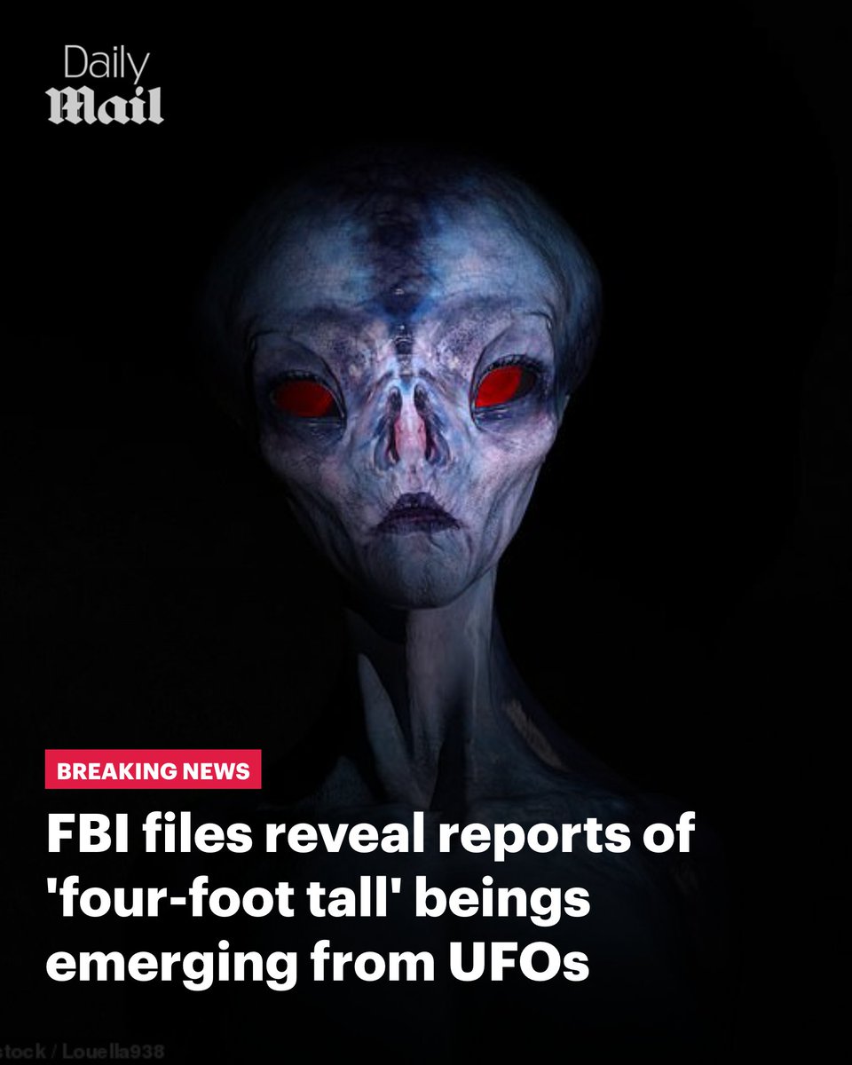 Daily Mail US tweet media